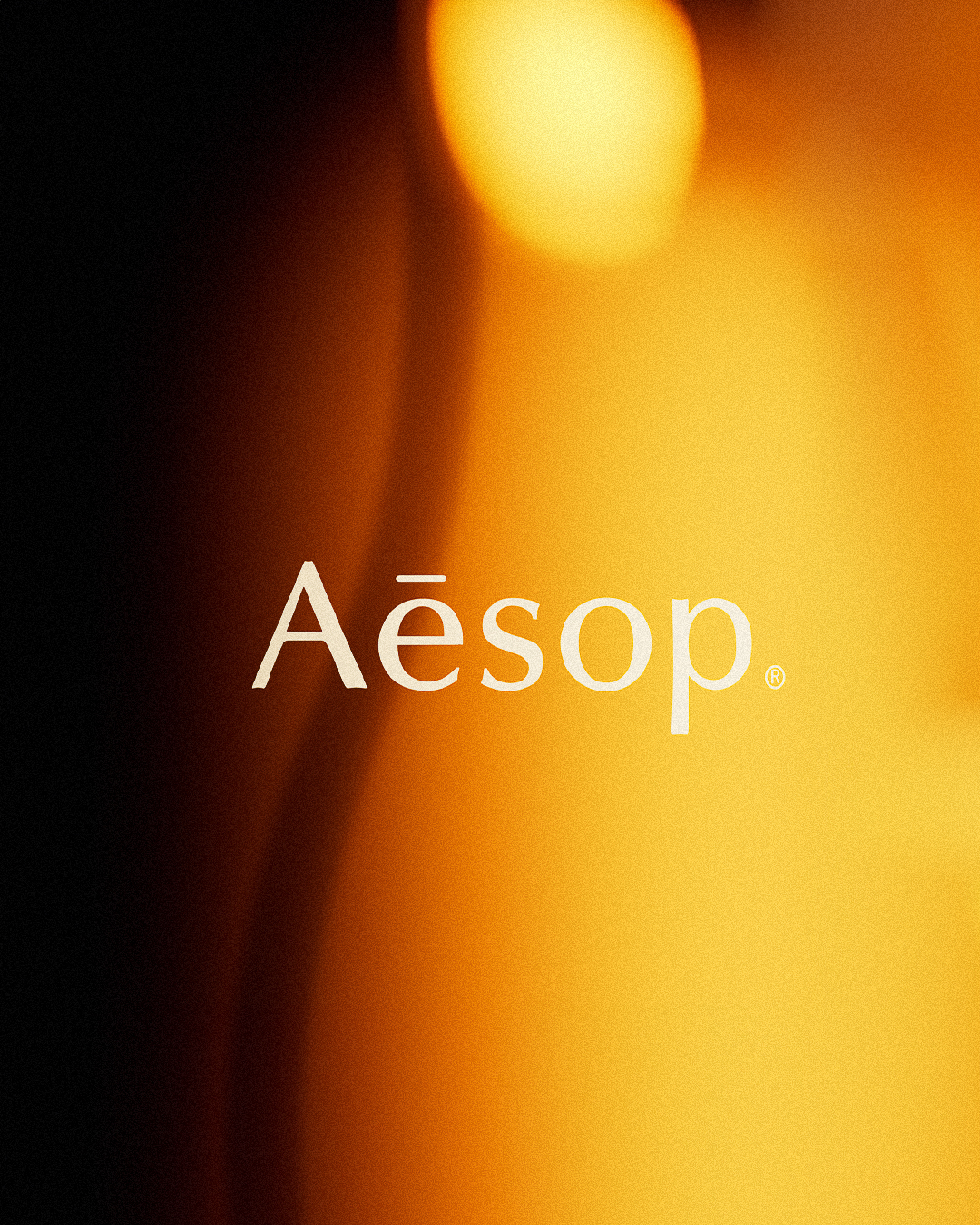 Sl 22 Aesop 3