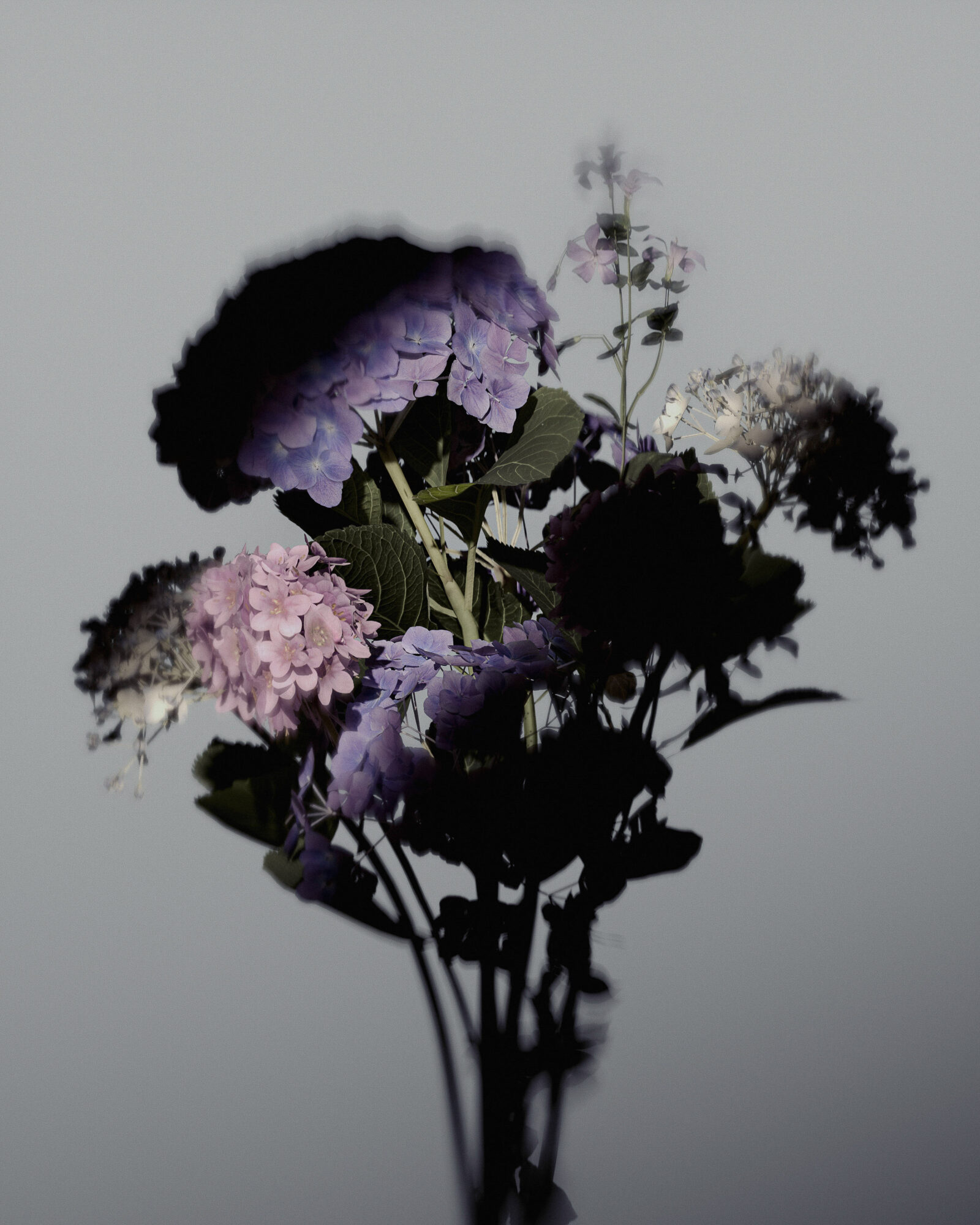 Slate Studios Ugc Flowers 1