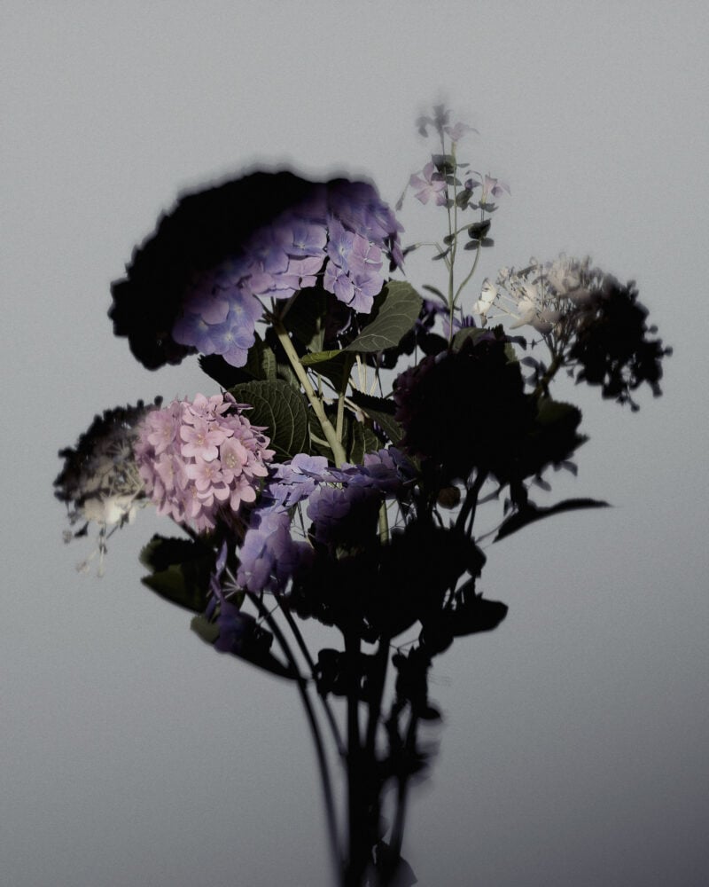 Slate Studios Ugc Flowers 1