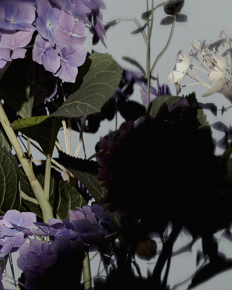 Slate Studios Ugc Flowers 3