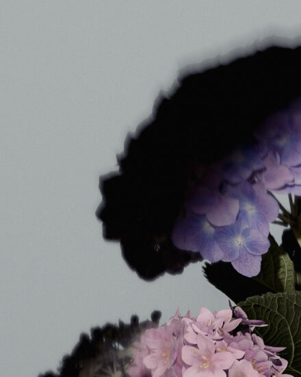 Slate Studios Ugc Flowers 6