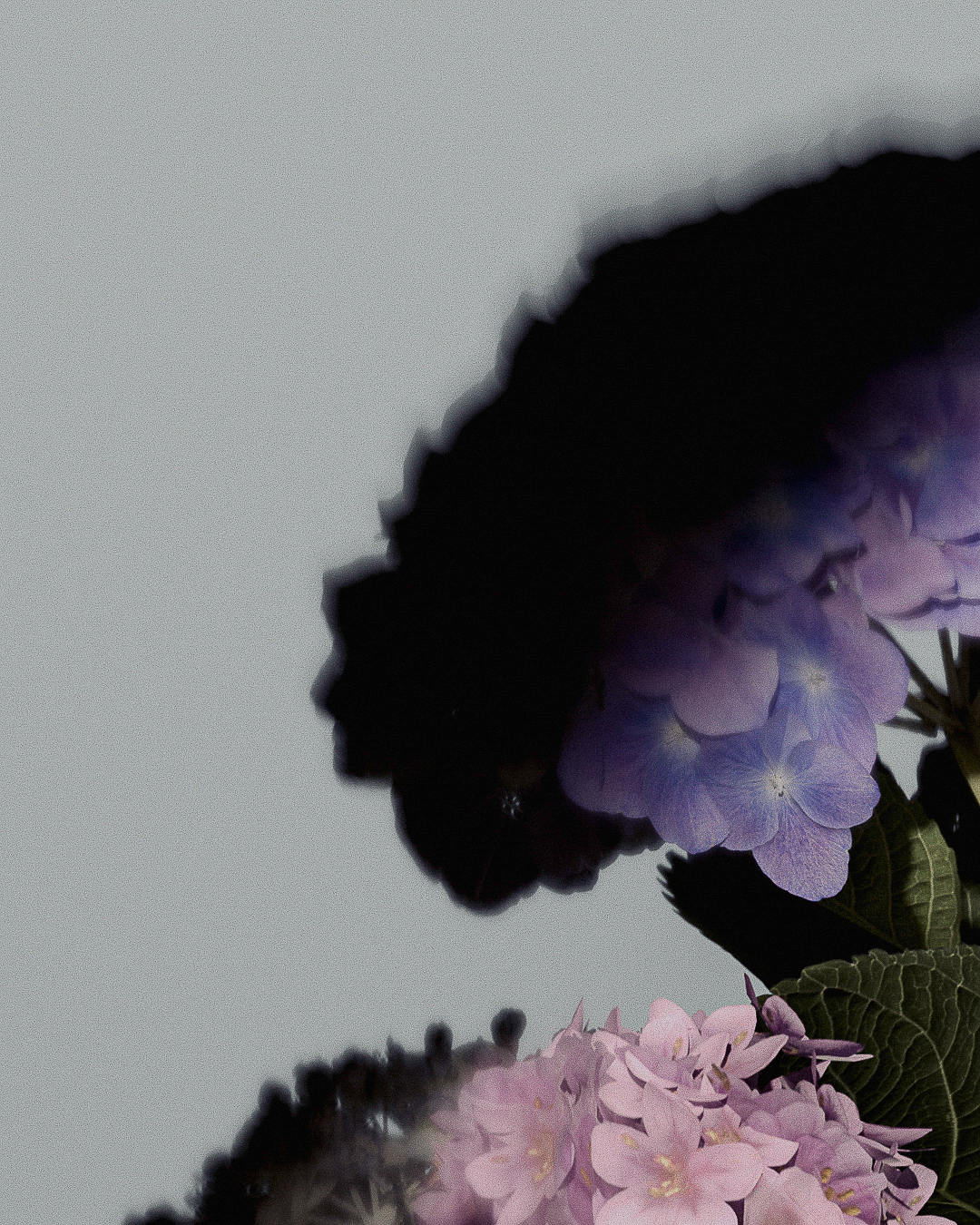 Slate Studios Ugc Flowers 6