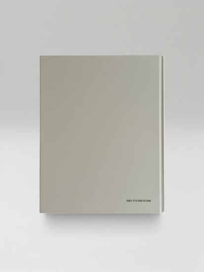 Slatestudios Andrekertesz 2