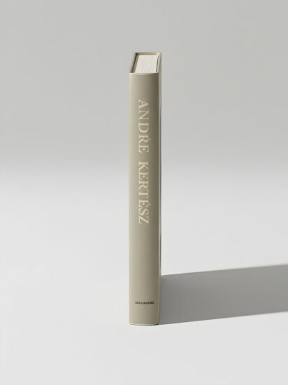 Slatestudios Andrekertesz 4