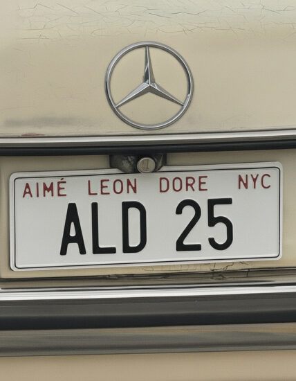 Aime Leon Dore 9