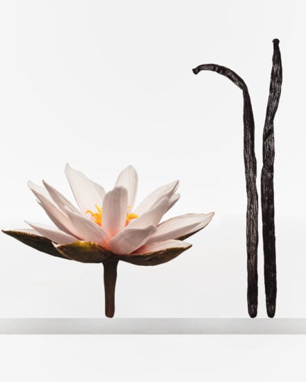 Kjc Hb Mist 25 Vanilla Dew 2 Ingredients Without Bottle Cp 613 Hero