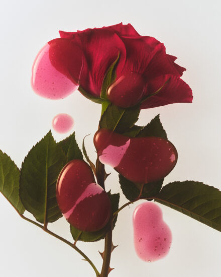 Kjc Tlt 24 Always Rosy Swatch Cp 796 Hero V2