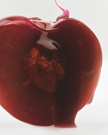 Kjc Tlt 24 Plum 2 Cp 713 Hero