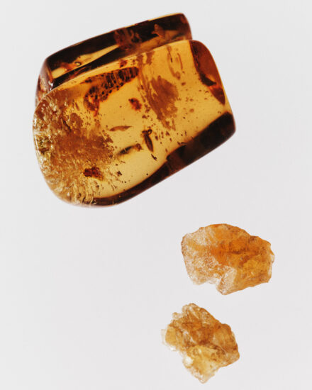 Kjf Cosmic Int 26 Ingredients Amber Benzoin Cp 948 Hero