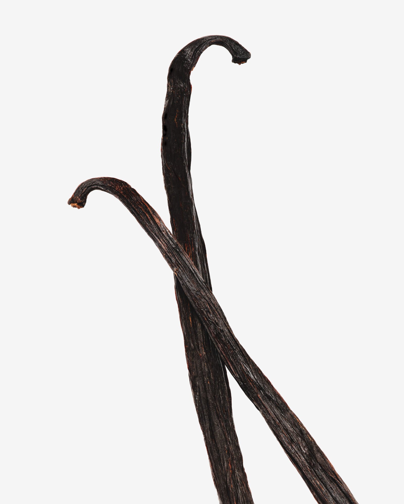 Kjf Cosmic Int 26 Ingredients Vanilla Cp 1089 Hero