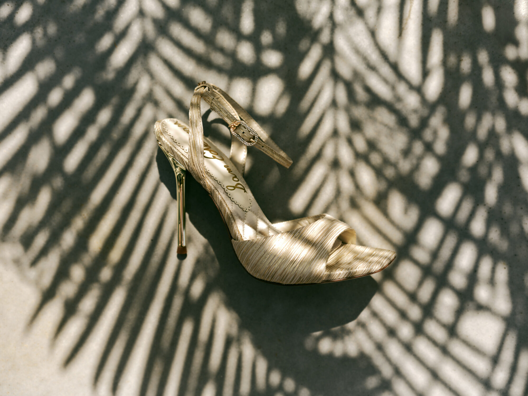 Se Ss25ii Stills 167