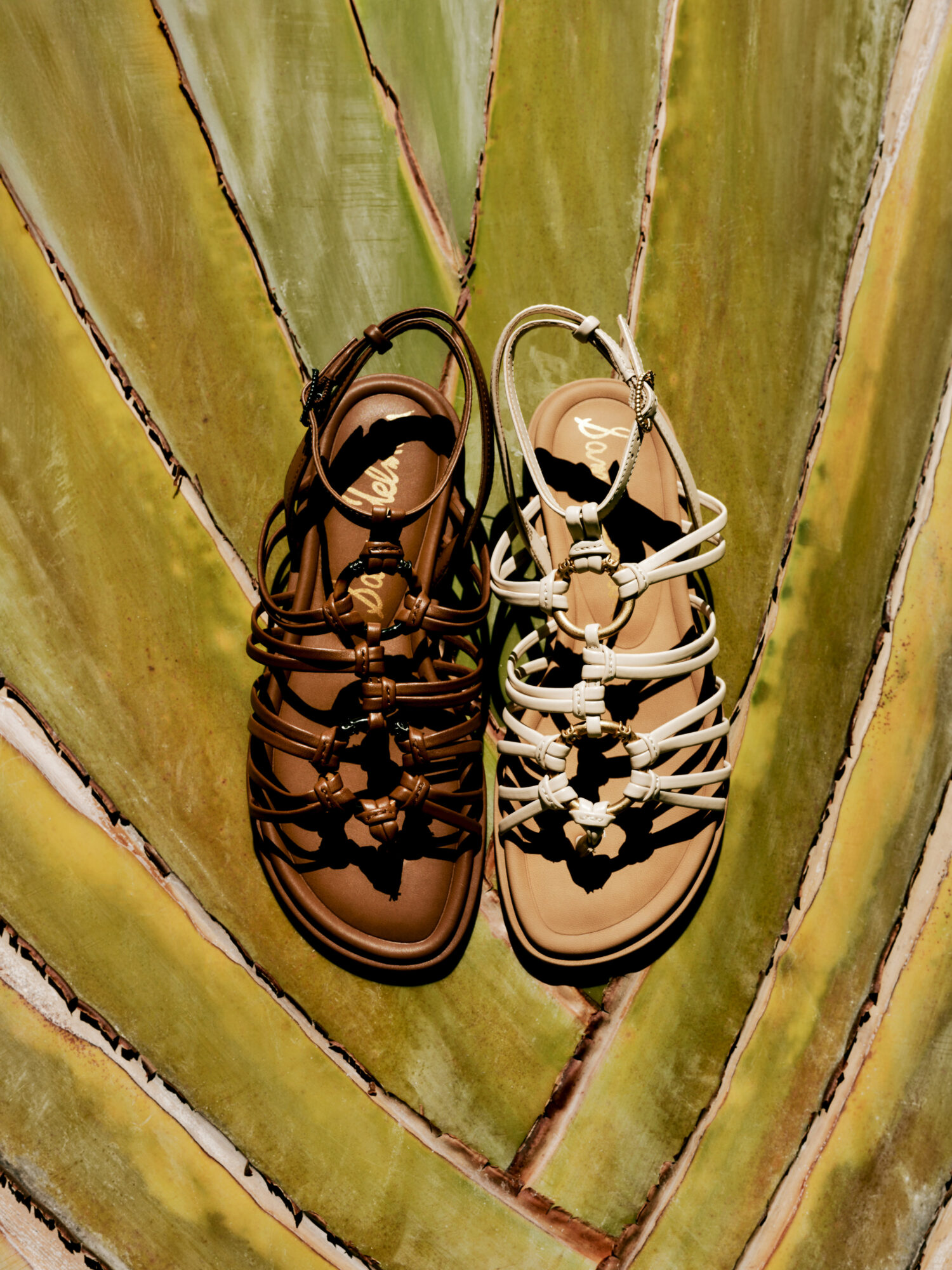 Se Ss25ii Stills 377