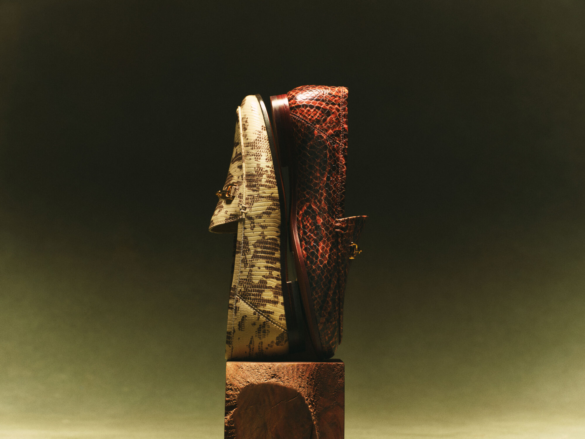 Se F24 1 Still Life Loraine Roccia Stable Brown 0294