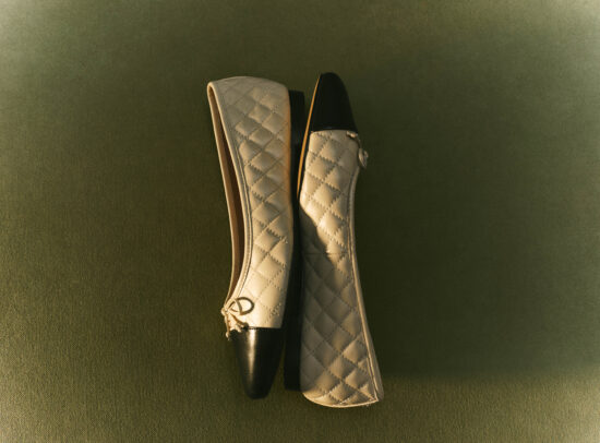 Se F24 1 Still Life Michaela Dark Silver Sage0161