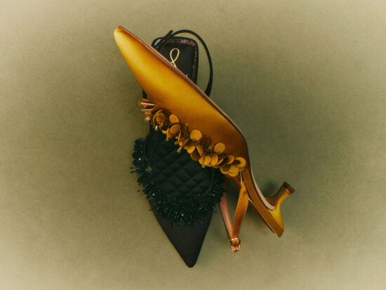 Se F24 1 Still Life Trent Black Dark Pear 10185