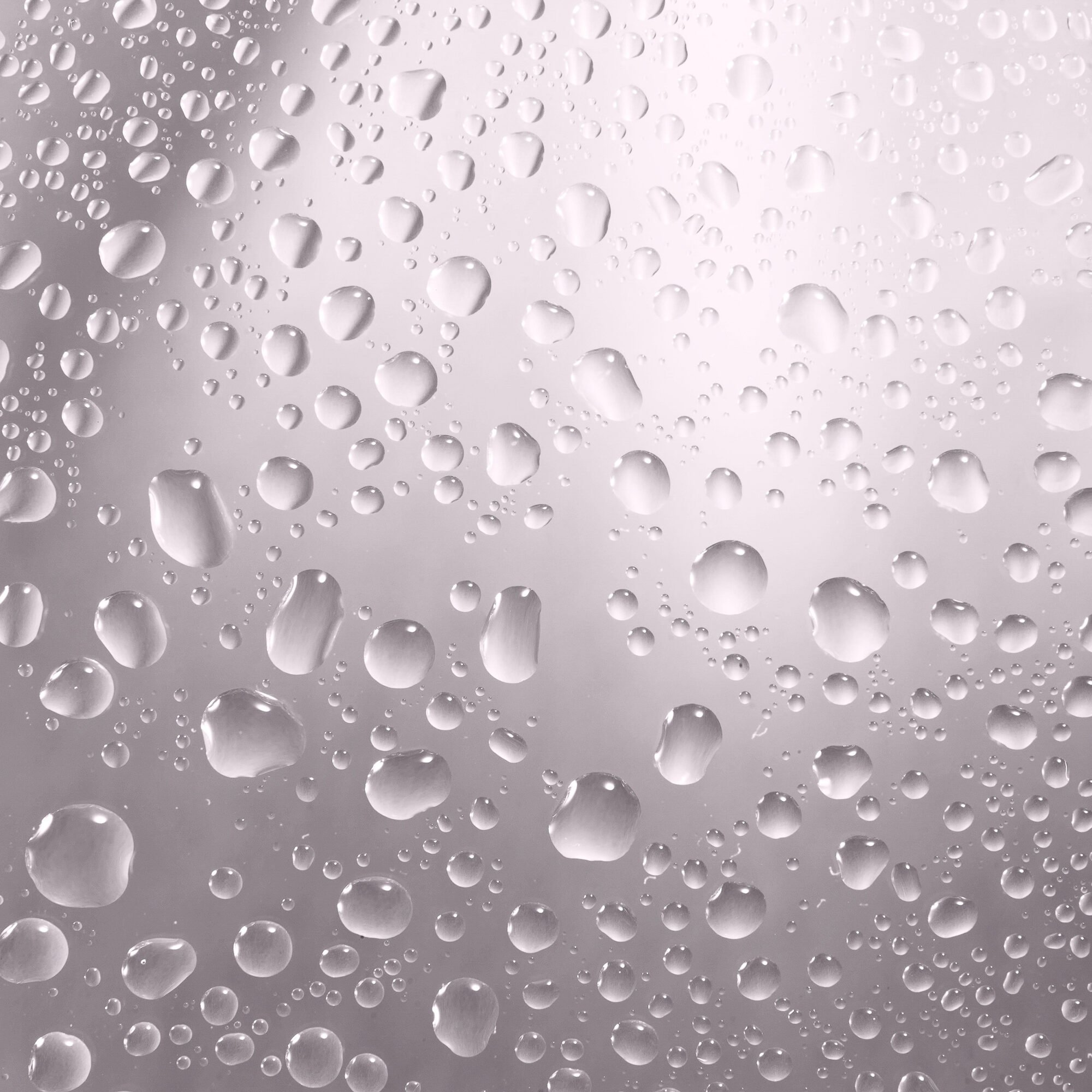 Slate 2024 Photo Kyliecosmetics 133